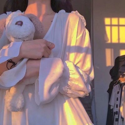 监狱犬计划