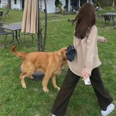 柏林迷宫